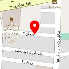 روانشناس زهرا غلامی