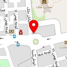 دکتر سلماز عماری