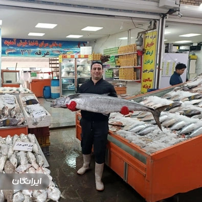 ماهی سرای ناخدا