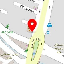تکنو پی وی سی حقیقی