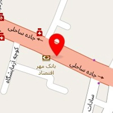 وکیل پریسا مشایخی