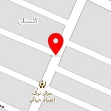 شرکت خدماتی پیشگامان