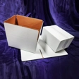 کارتن سازی عرفانی