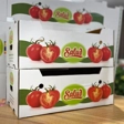 یکتا کارتن