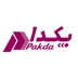 لوگوی کارتن سازی درخشان