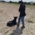 مرکز تربیت سگ k9
