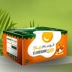 کارتن سازی نگین کاسپین