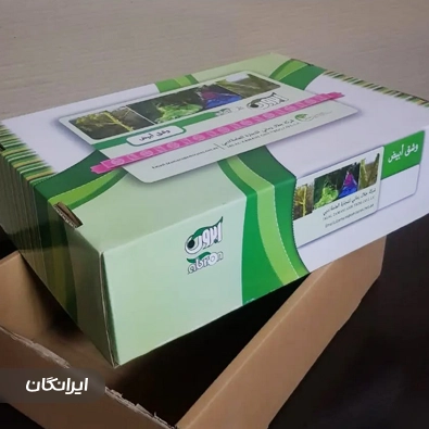 کارتن سازی تیوان