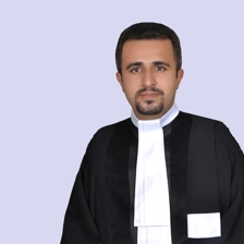 وکیل امیر تکرلی