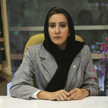 وكيل مانوش منوچهری