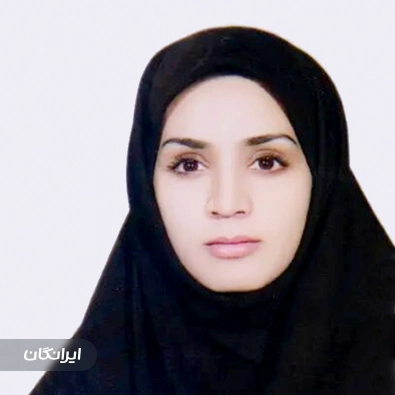 وکیل انیس احمدی نژاد