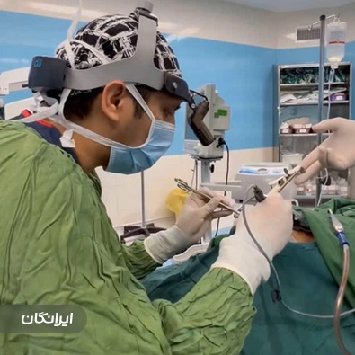 دکتر مجتبی میرزاده